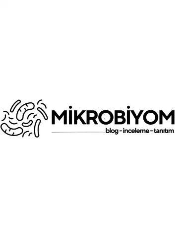 Beyin-Bağırsak Bağlantısı: Mikrobiyomunuzun Sırlarını Keşfeden Bir Bilimsel Yolculuk | Mikrobiyom Blog